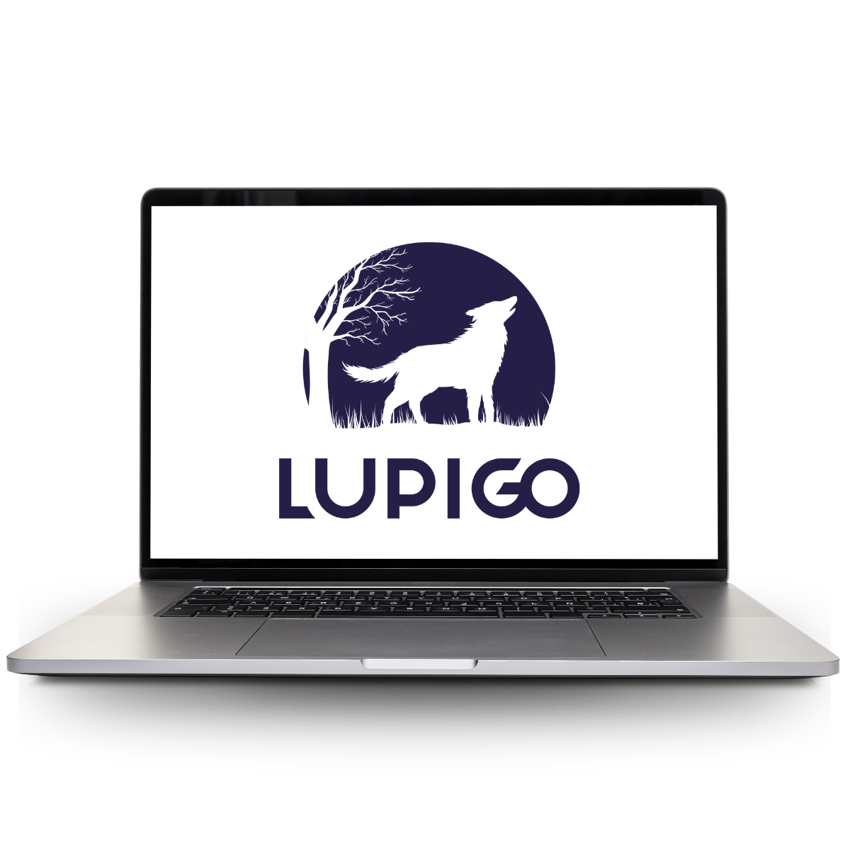 zintegrowany marketing LUPIGO